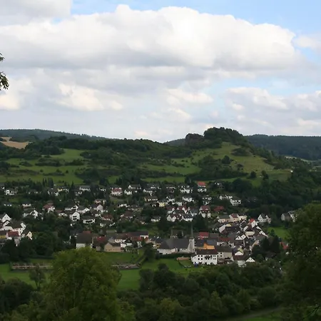 In Eifel Near Mountain Trails 別荘 *