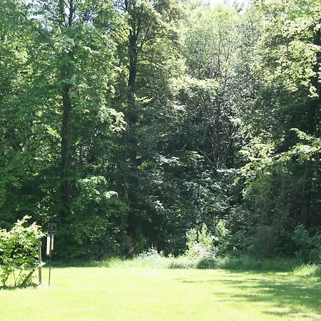 In Eifel Near Mountain Trails 別荘