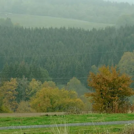 In Eifel Near Mountain Trails 別荘 *