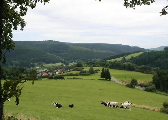 In Eifel Near Mountain Trails * Hinterhausen