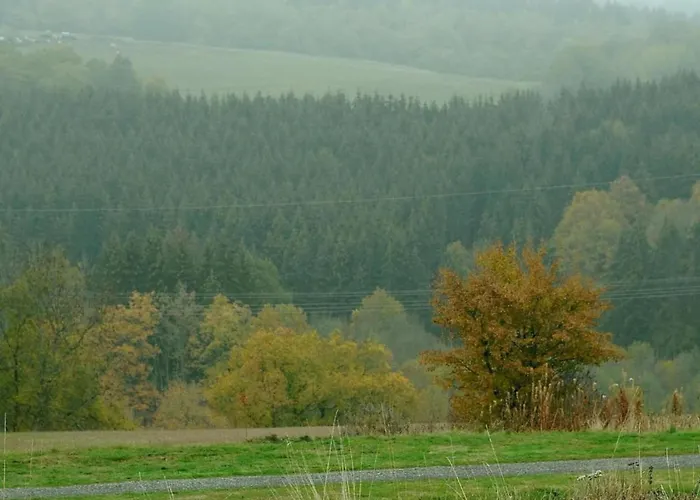 In Eifel Near Mountain Trails Prázdninový dům *